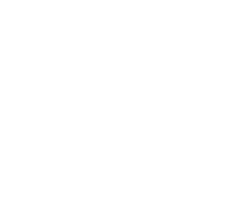 Fundación DISA